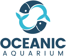 Oceanic Aquarium